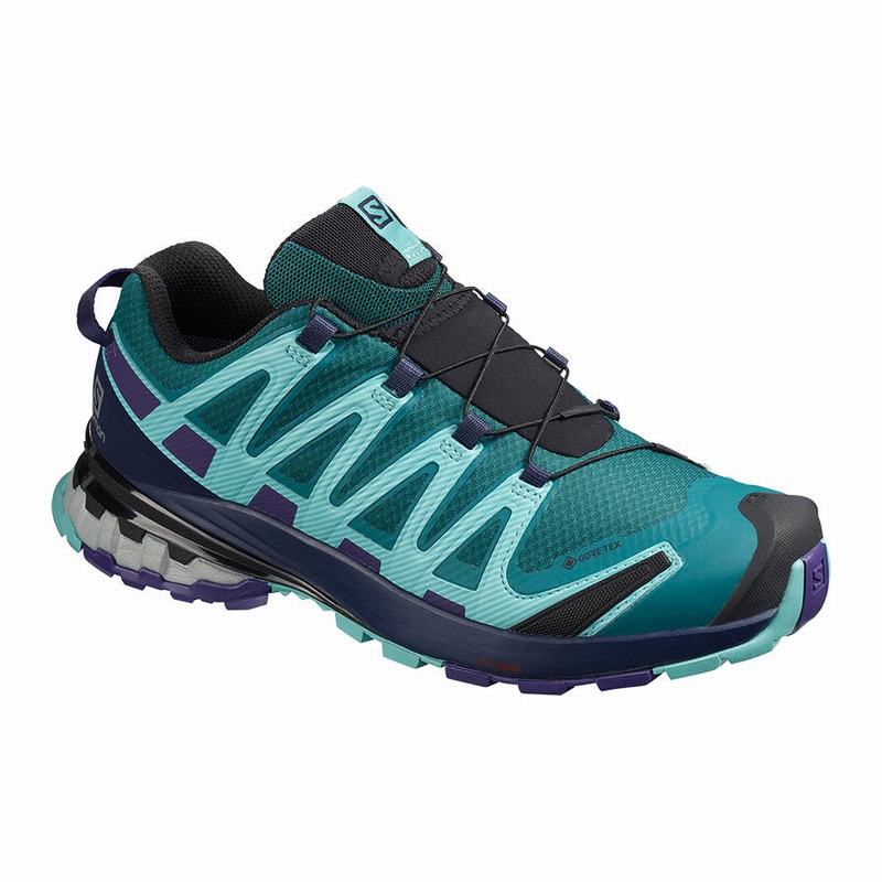 Chaussures De Randonnée Salomon Femme Bleu - Salomon XA PRO 3D V8 GORE-TEX - France (0276-VXEDL)